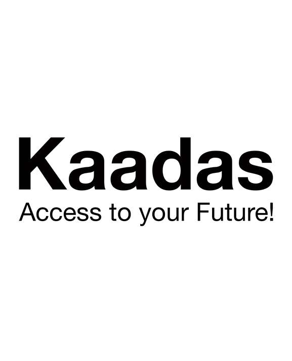 Kaadas 凱迪仕